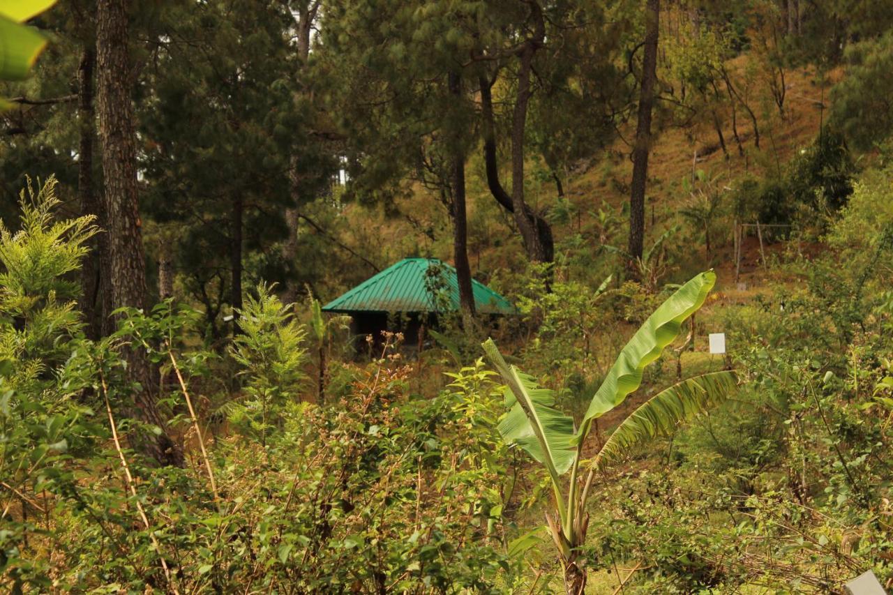 Heal Farm - Himalayan Eco Alternative Lifestyle For Agriculture Recreation And Meditation ไนนิตาล ภายนอก รูปภาพ